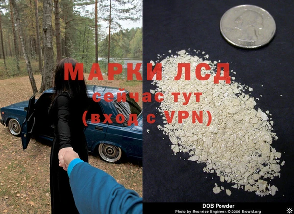 спиды Зеленодольск
