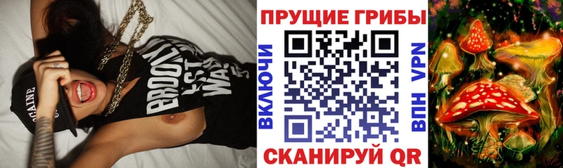 Купить  Заозёрск  Псилоцибиновые грибы мухоморы 
